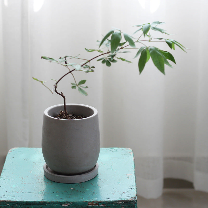 Round Cement Flower Pot